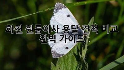 화천 원룸이사 용달 견적 비교 완벽 가이드!